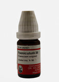 Foeniculum