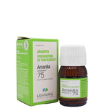 Lehning 75 (Amanita Complexe)