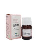 Lehning 87 (Scabiosa Complexe)