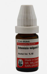 Artemisia Vulgaris