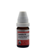 Aesculus Hipp (Aesculus)