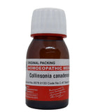 Collinsonia Canadensis