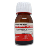 LATRODECTUS MACTANUS