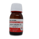 Ledum Palustre