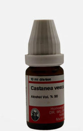 Castanea Vesc