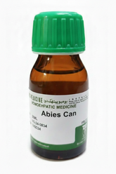 ABIES CANADENSIS