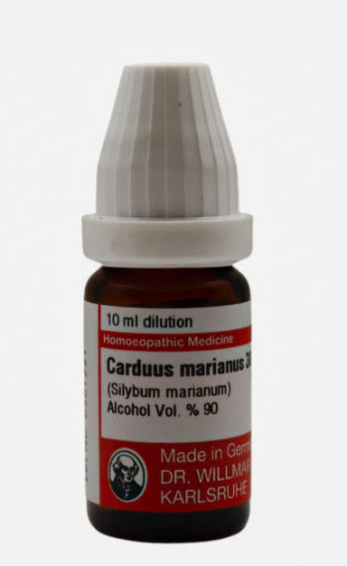 Carduus Marianus
