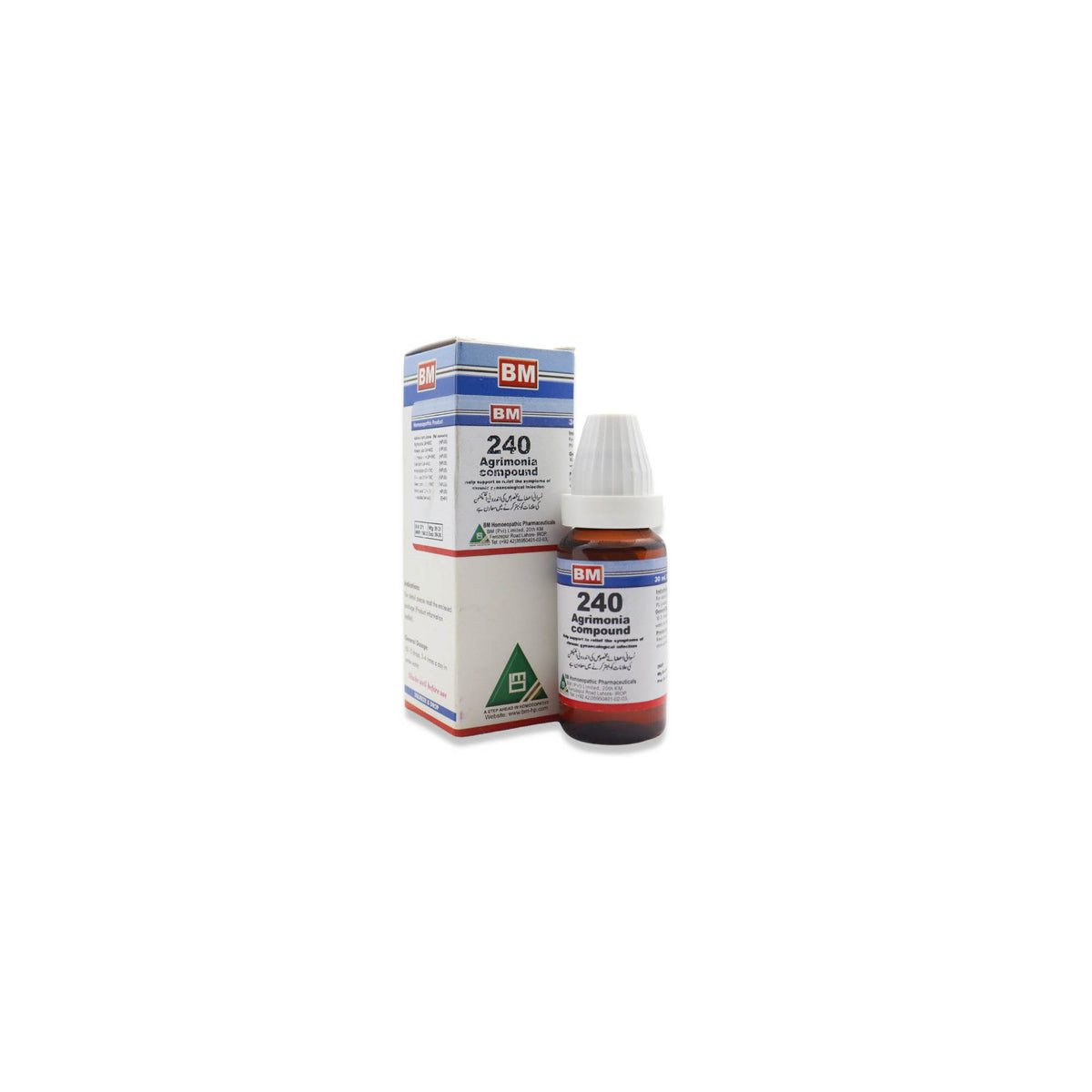 BM 240 CHRONIC GYNAECOLOGICAL INFECTIONS