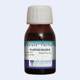 Plantago major Q