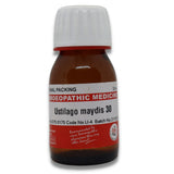 Ustilago Maydis