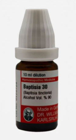 Baptisia