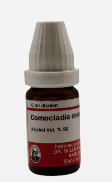 Comocladia Dan