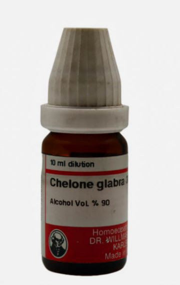 Chelone Glabra