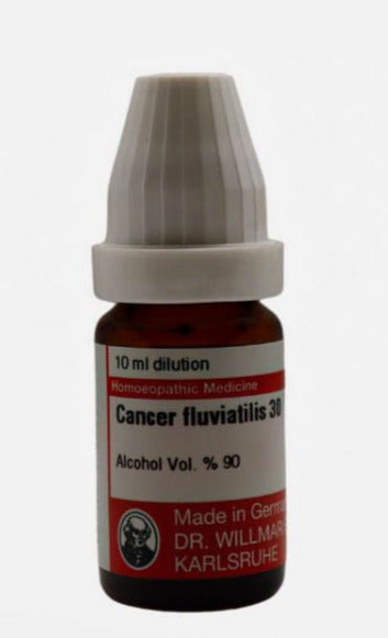 Cancer Fluviatilis