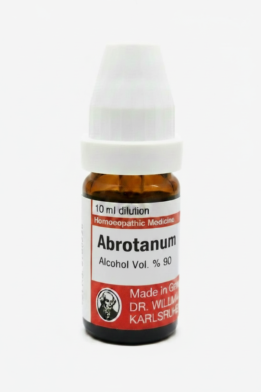 Abrotanum